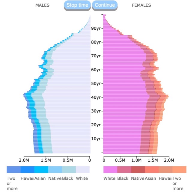 US Projected Population Pyramid by Race