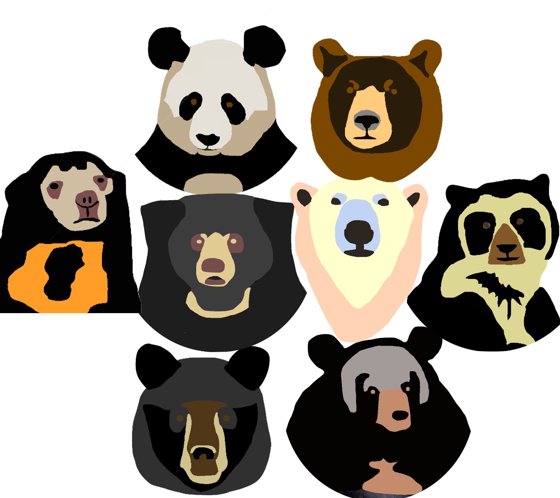 All Bear Species