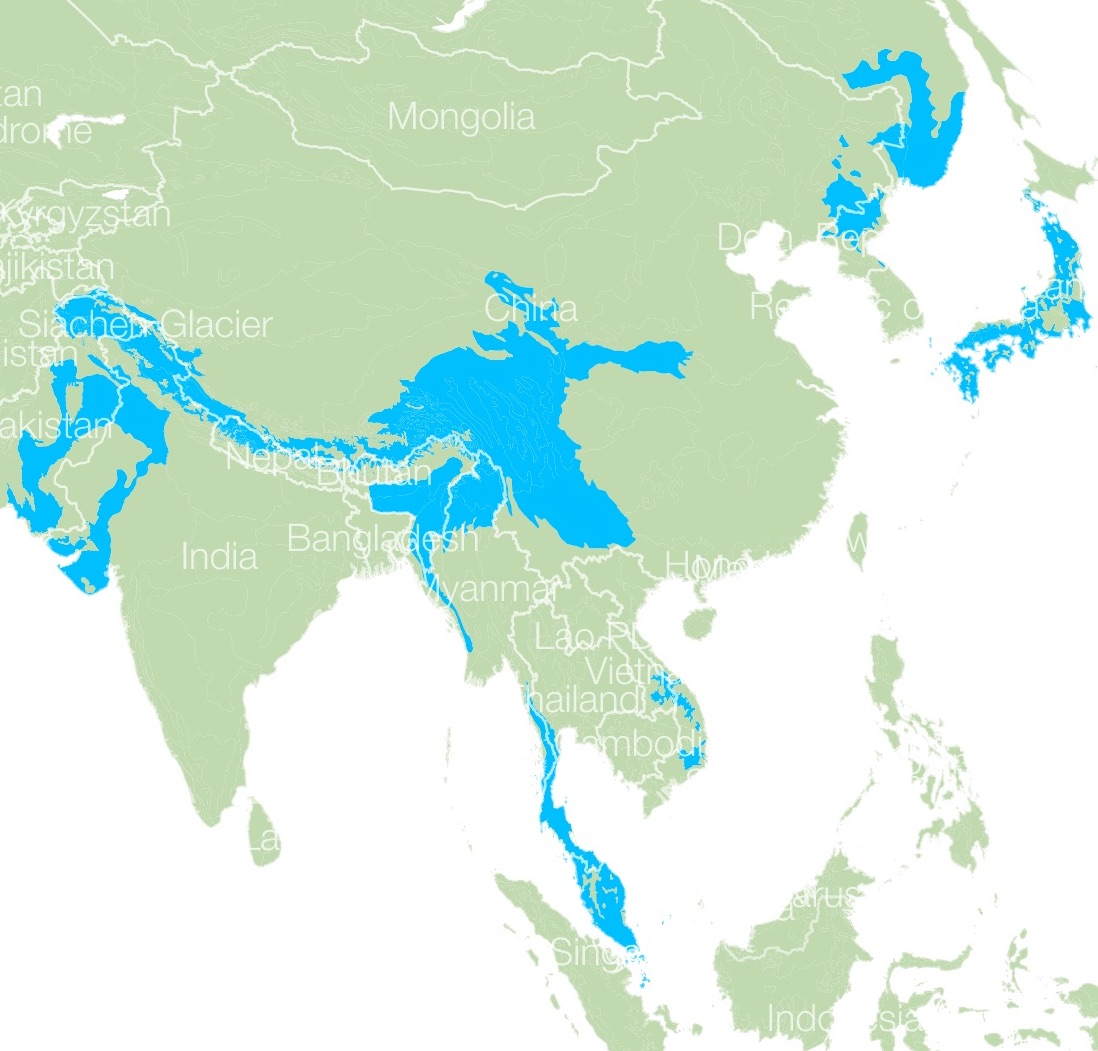 Bear Species Distribution Map