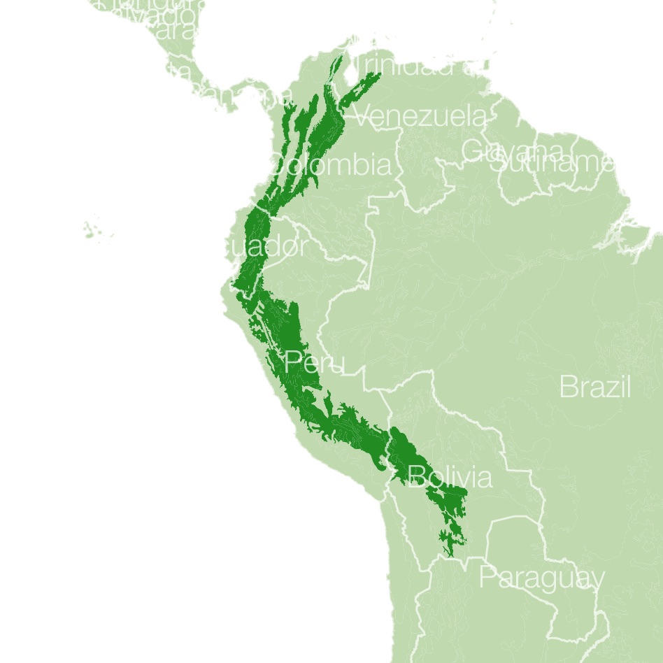 Andean or Spectacled Bear habitat map