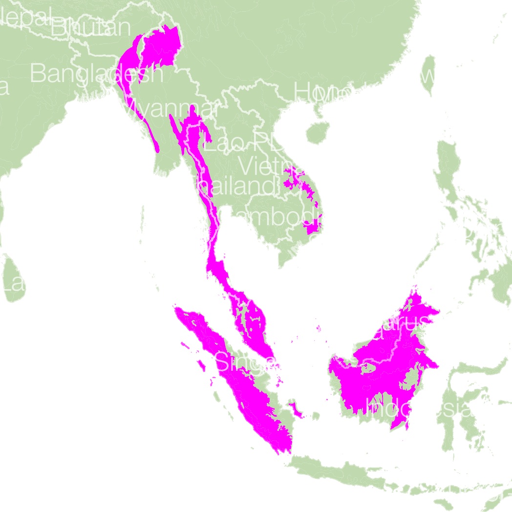 Sun Bear habitat map