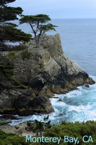 California's Pacific Coast Monterey Bay