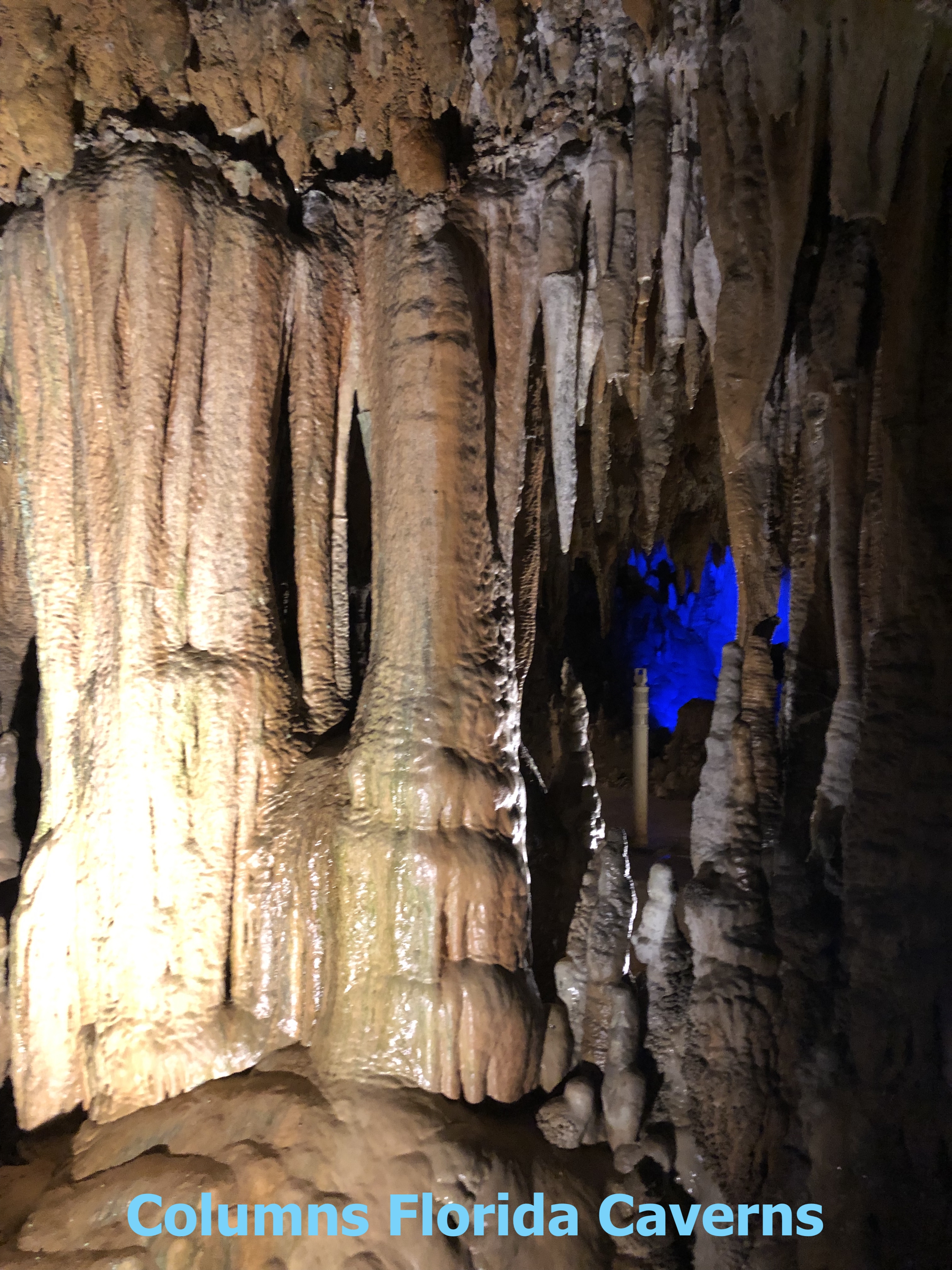 Columns at Florida Caverns State Park