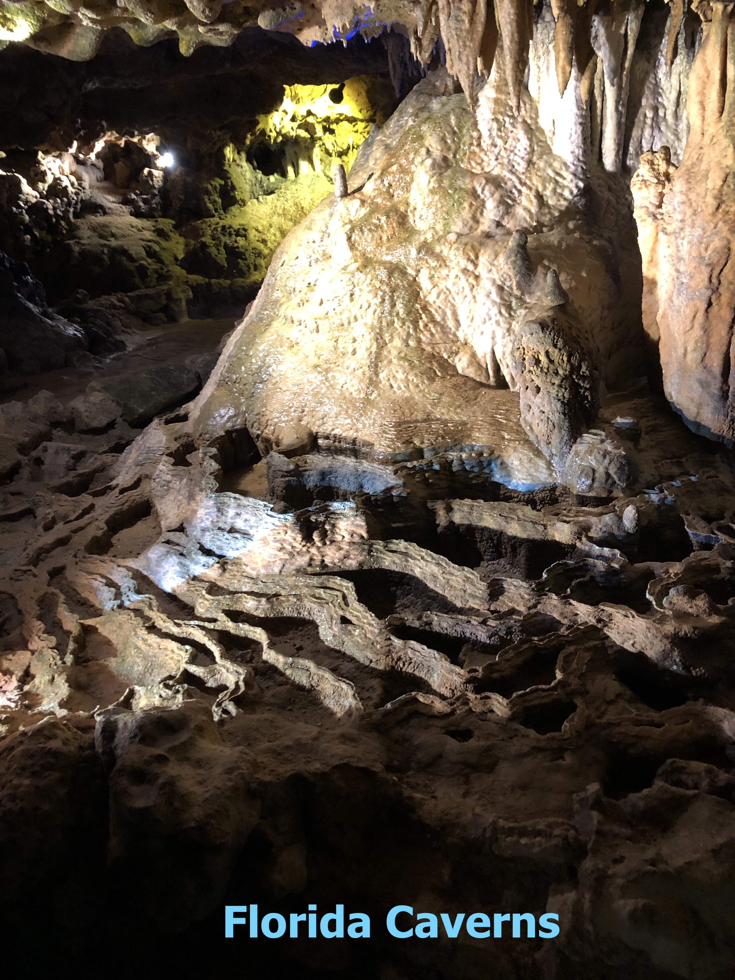 formations at Florida Caverns State Park