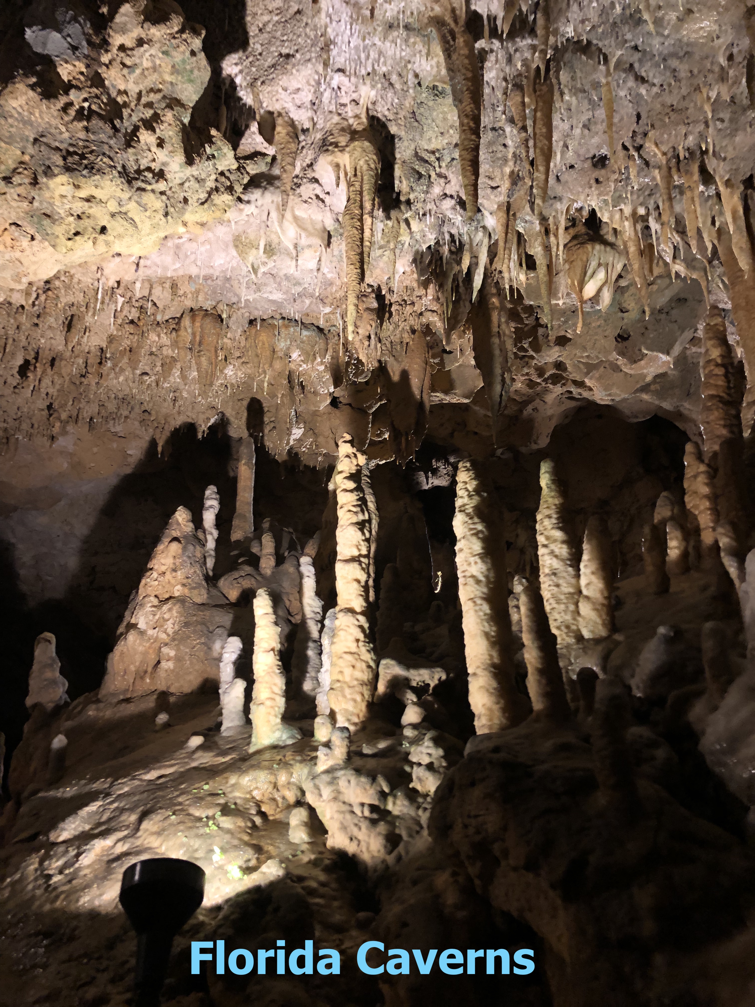 Stalactites and Stalagmites Florida Caverns State Park