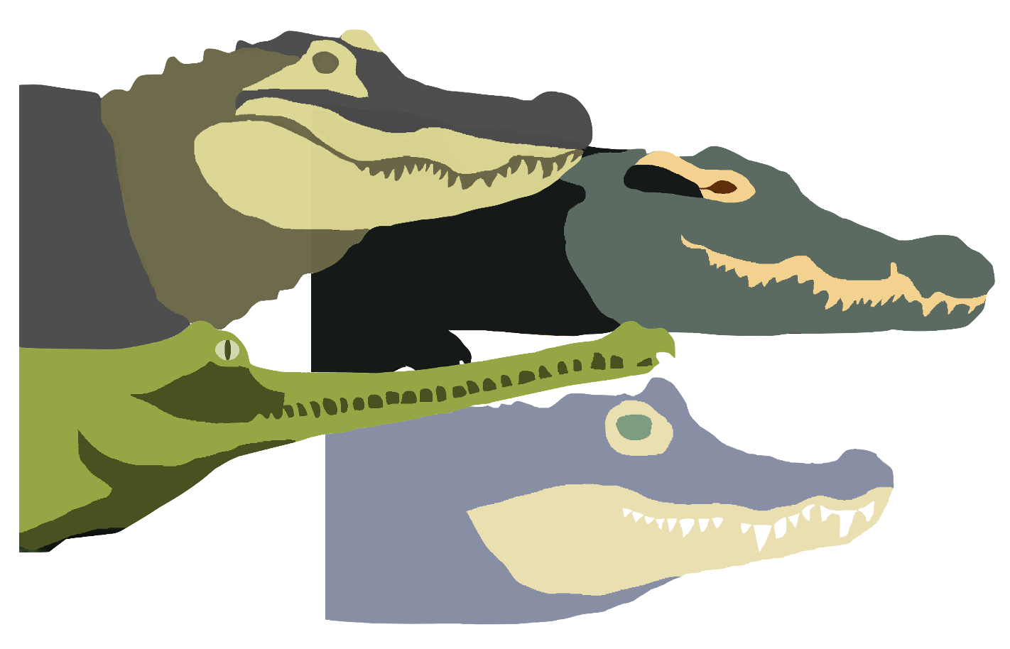 All Crocodile groups