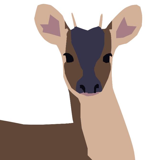 Mazama or Brocket deer