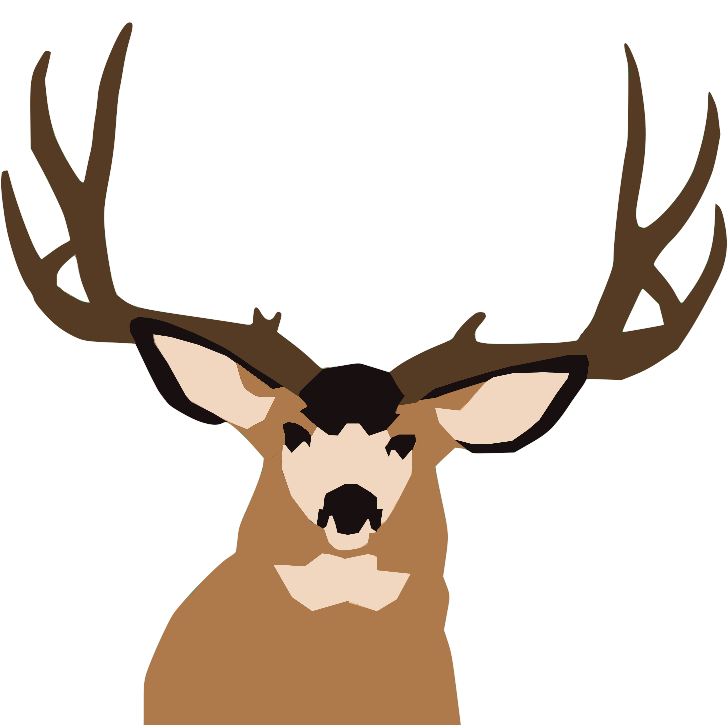 odocoileus or whitetail deer