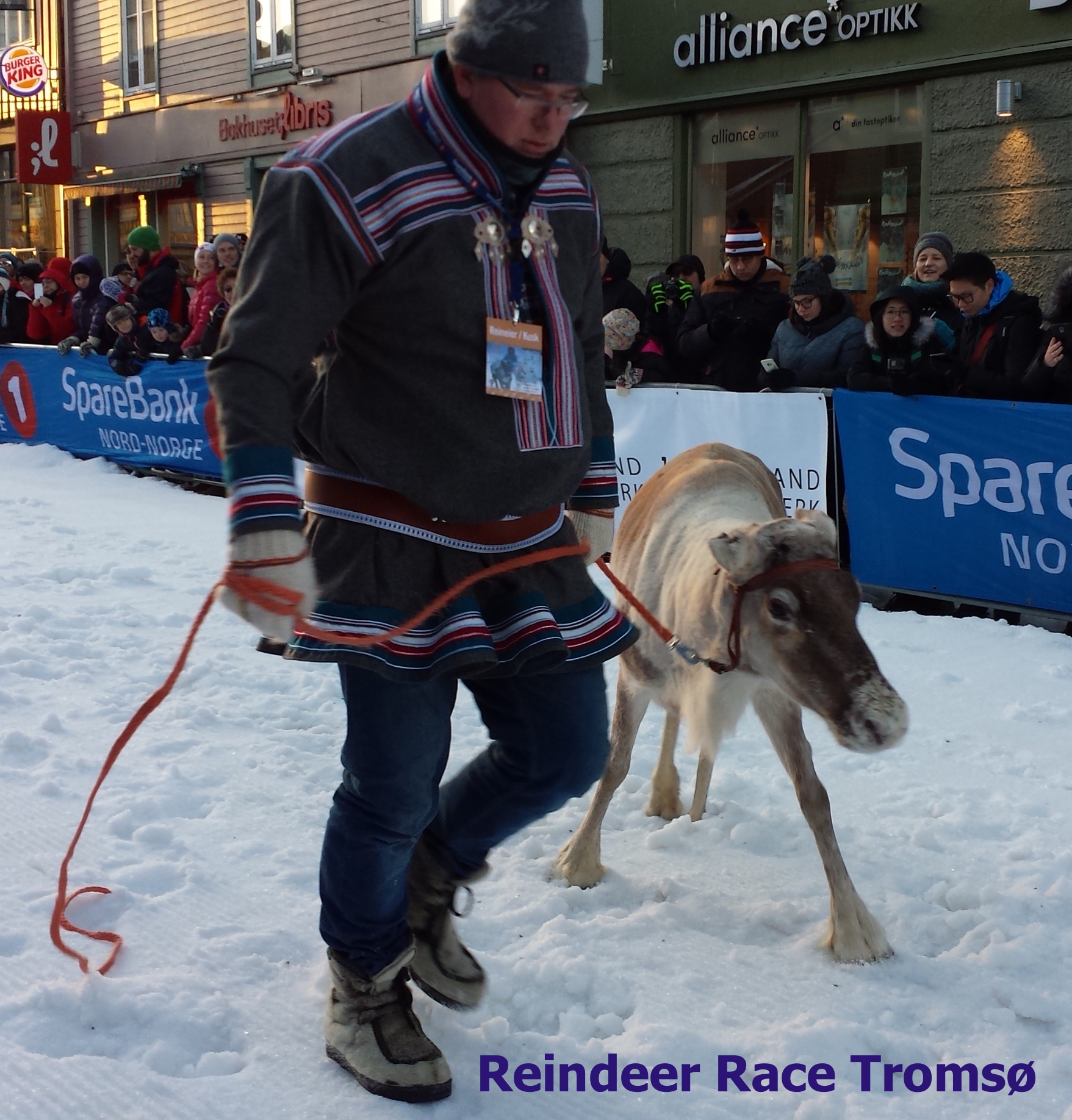 Reindeer race Sami people