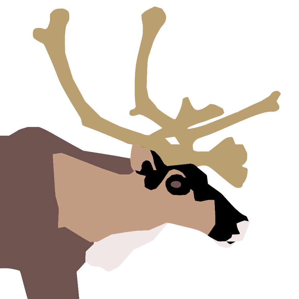 reindeer or caribou