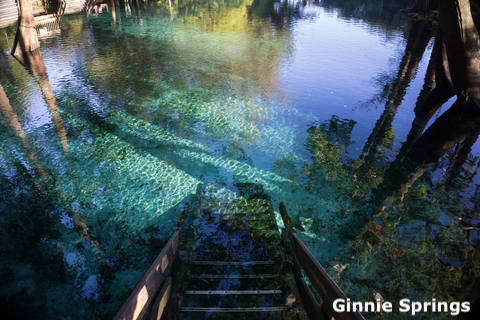 Ginnie springs, Florida