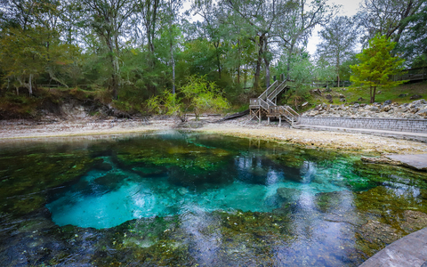 Little River Springs reaches, Florida