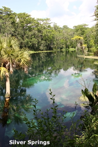 Silver Springs State Park, Florida