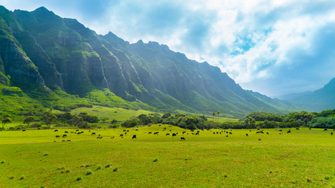 Kahana Valley Hawaii