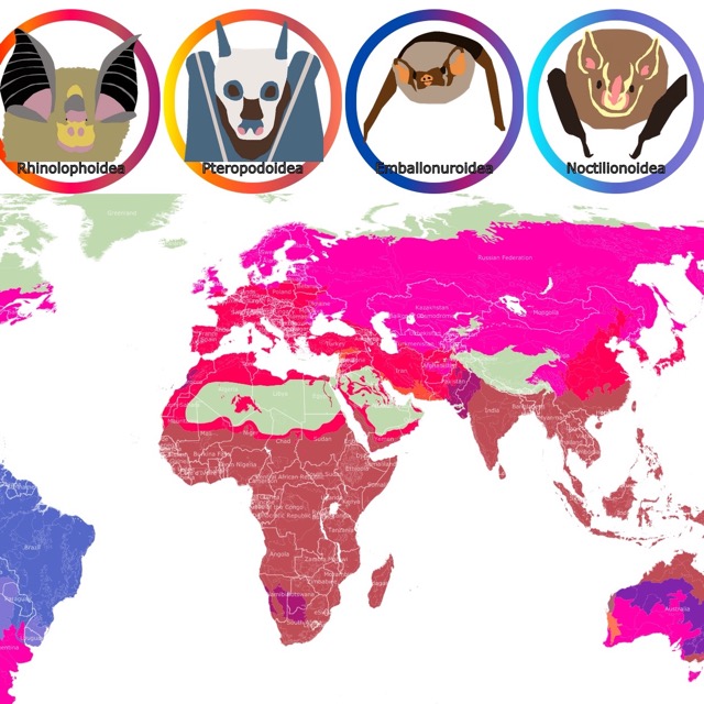 Map of bats habitat range worldwide