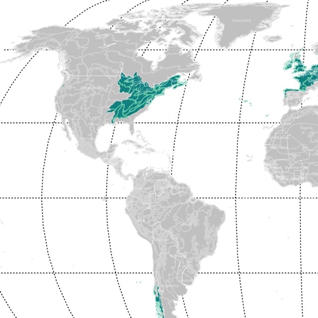 Map of temperate broadleaf forests worldwide