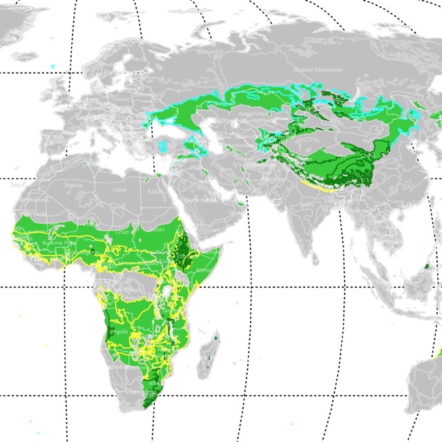 Map of Grasslands Worldwide