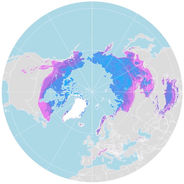 map of arctic permafrost
