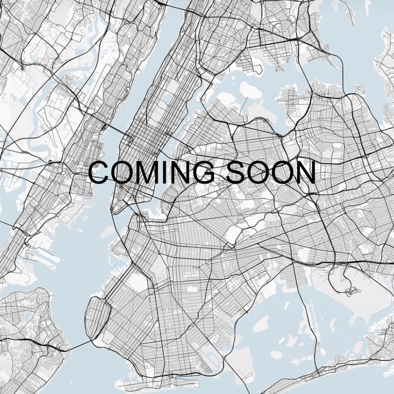 Map of NYC Elections 2025