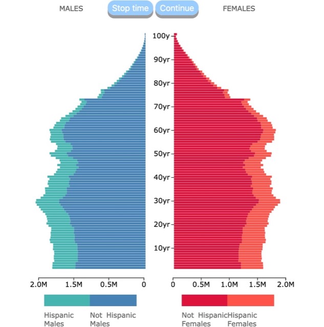 US Projected Population Pyramid by Ethnicity
