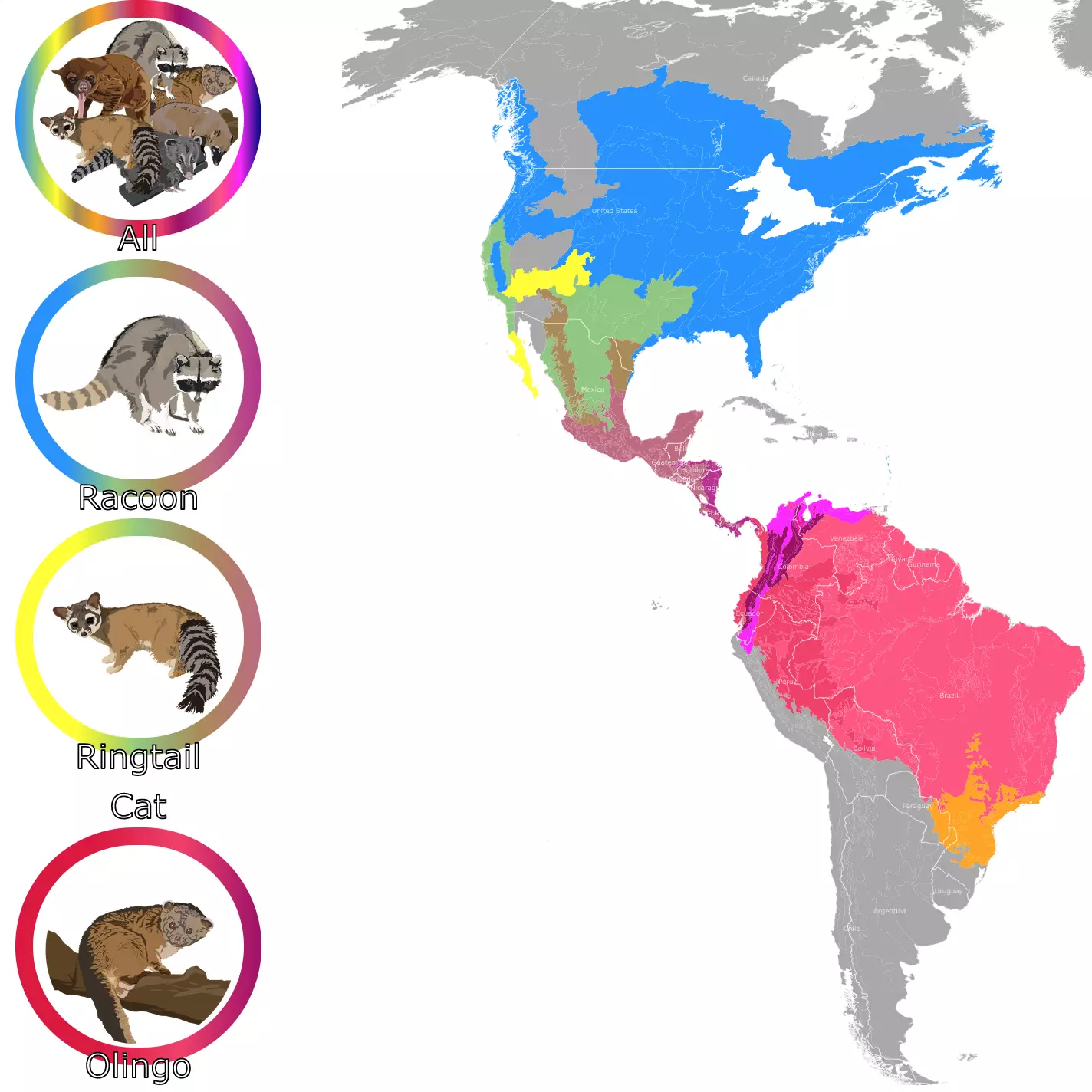 Geographic Range of the Raccoon Family Map