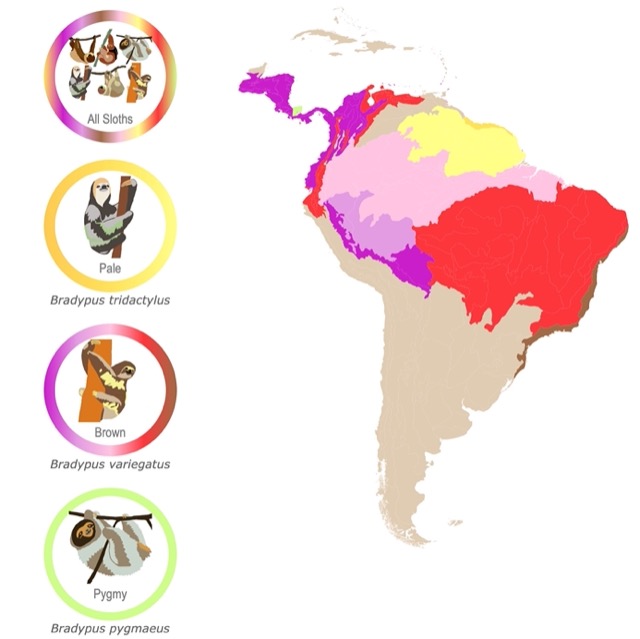 Map of sloth species distribution