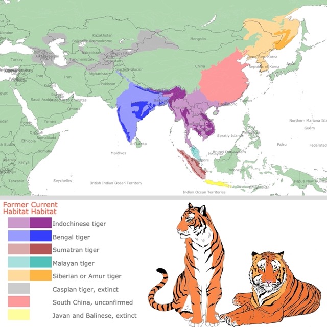 Tiger subspecies habitat map