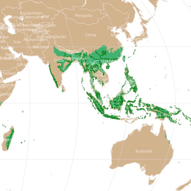 Map of Tropical Forests worldwide