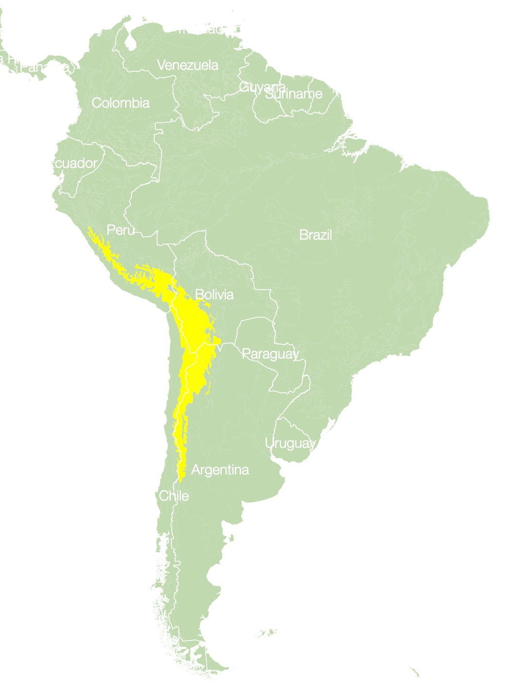Vicuna or Vicugna vicugna habitat map