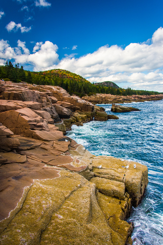 Acadia National park shores