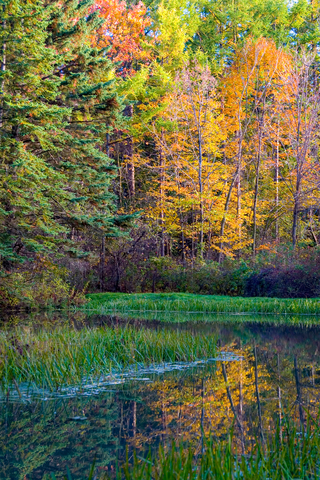 Finger Lakes National Forest, New York