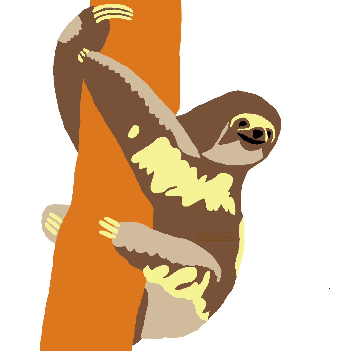 Brown Throated sloth