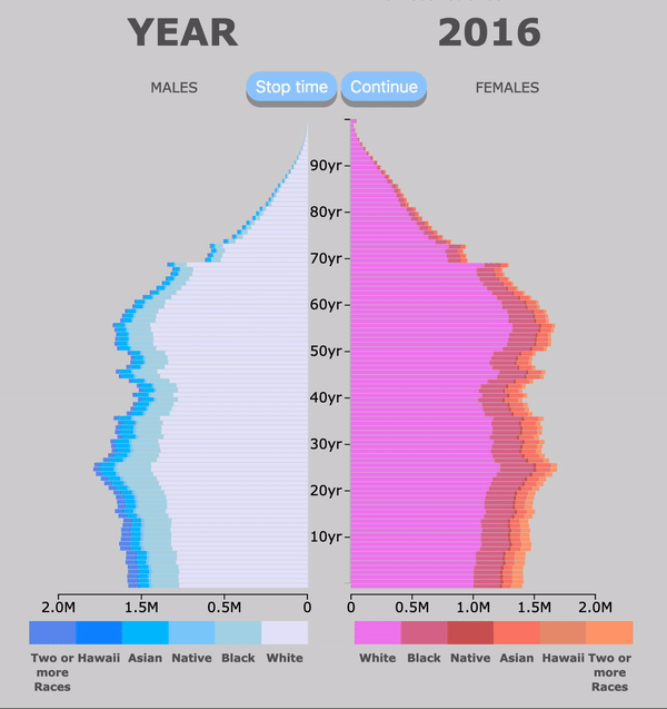 animated projection of population pyramid by ethnicity of the USA