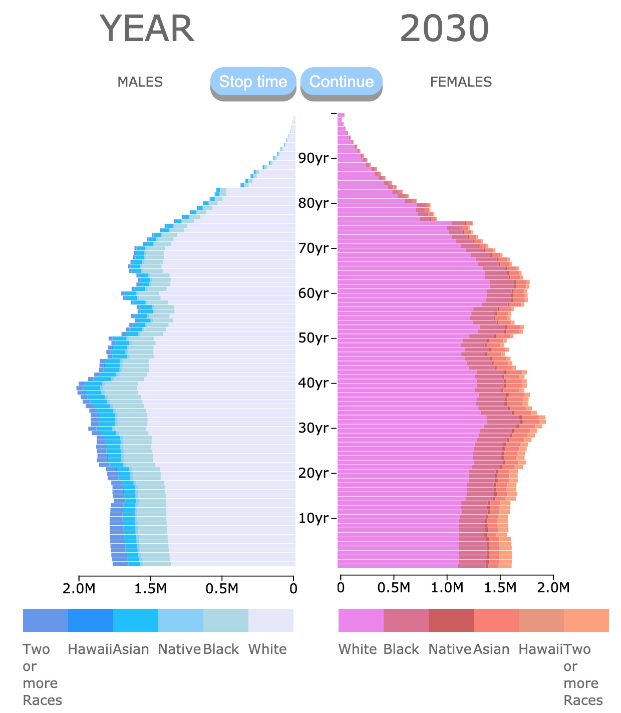 population pyramid by ethnicity in the USA