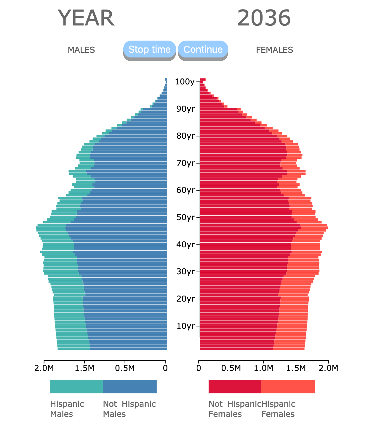population pyramid by ethnicity in the USA