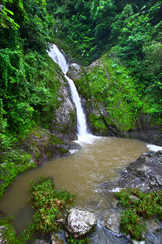 Doña Juana Falls Bosque estatal Toro Negro, Puerto Rico