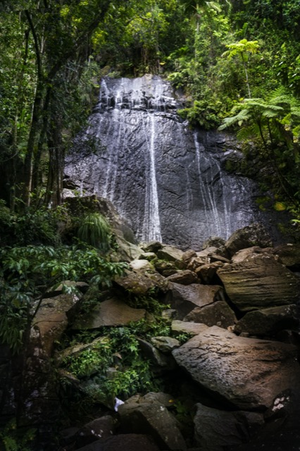 El Yunque Forest Puerto Rico