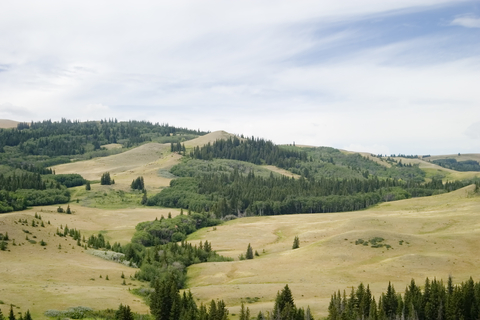 Cypress Hills Provincial Park, Saskatchewan