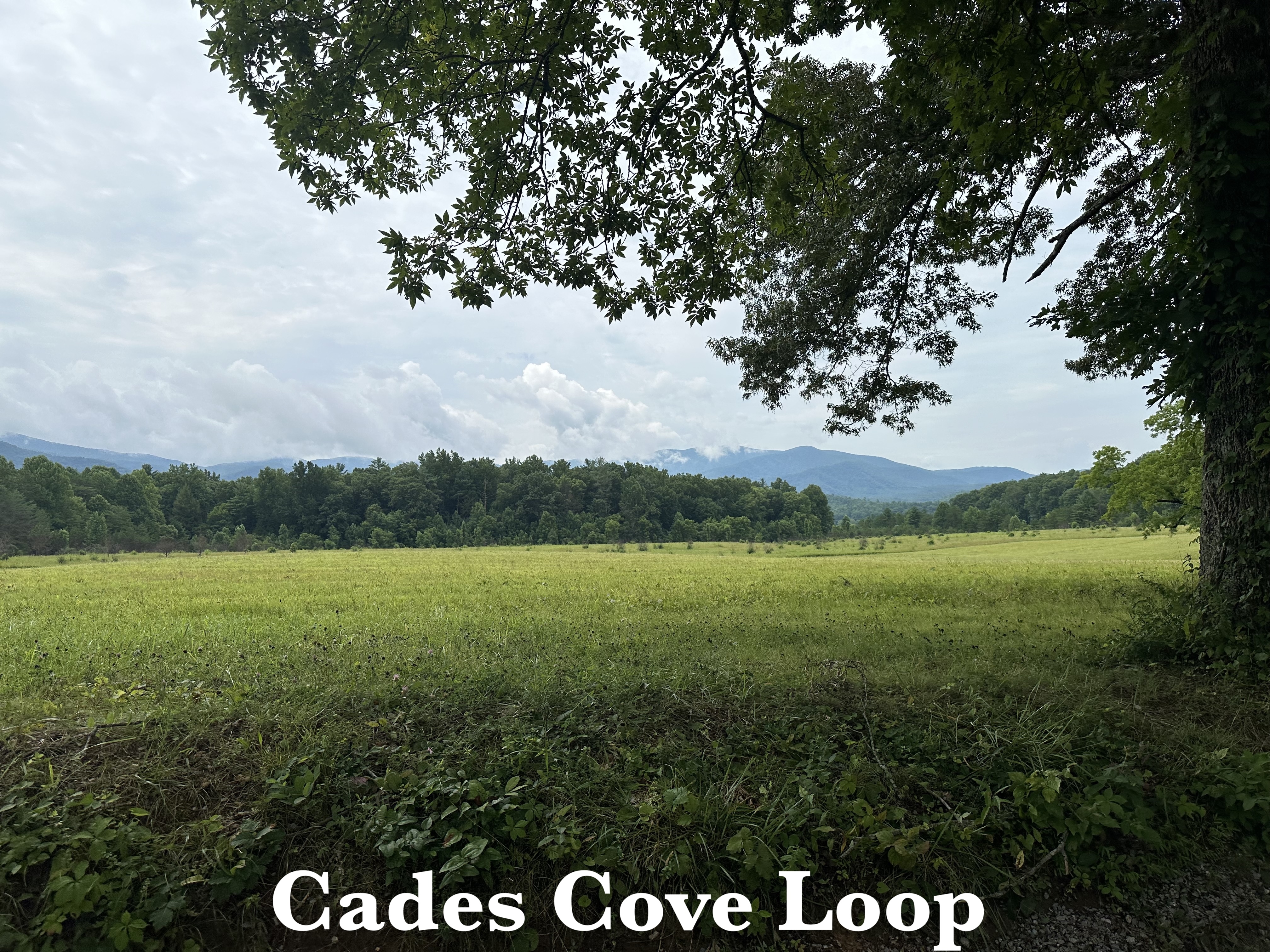 Cades Loop Scenery Great Smoky Mountains National Park