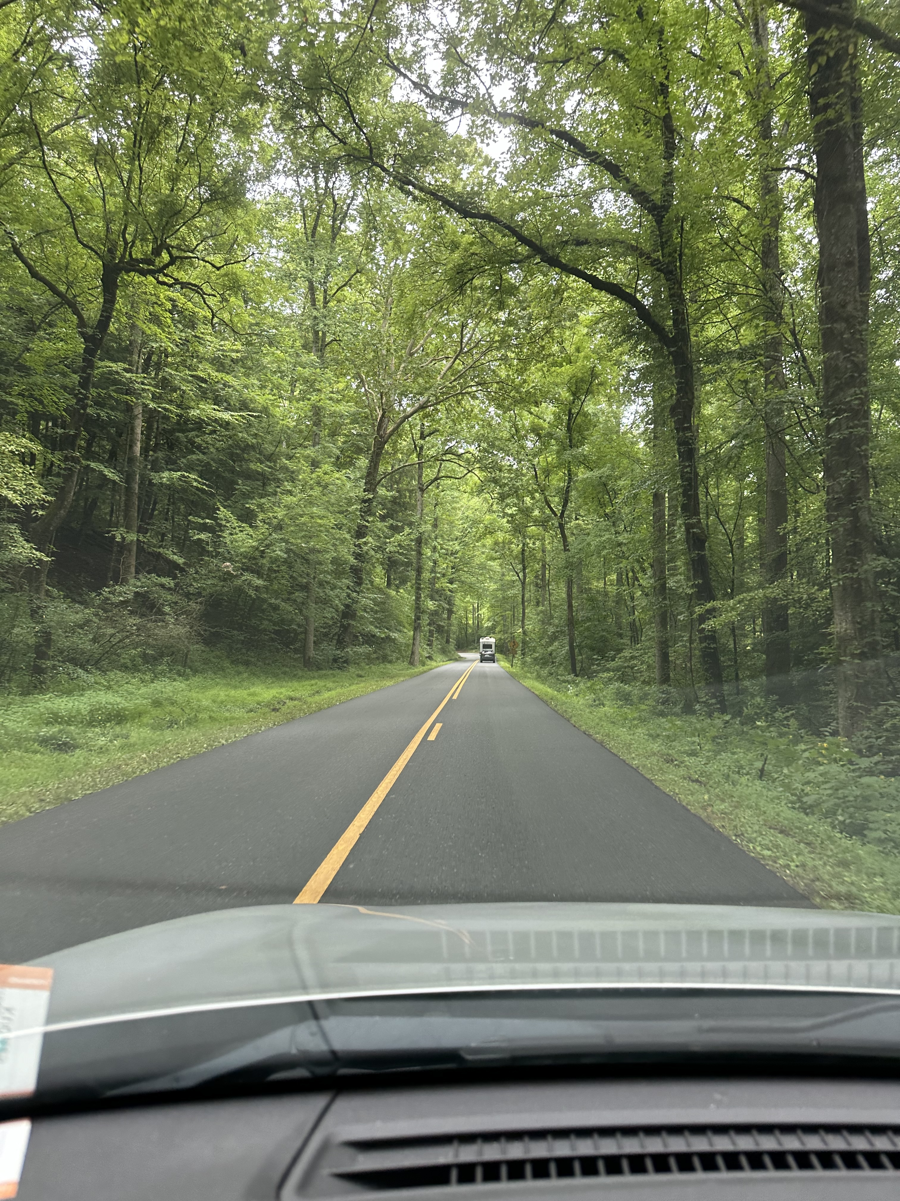 Laurel road at Great Smoky Mountains National Park