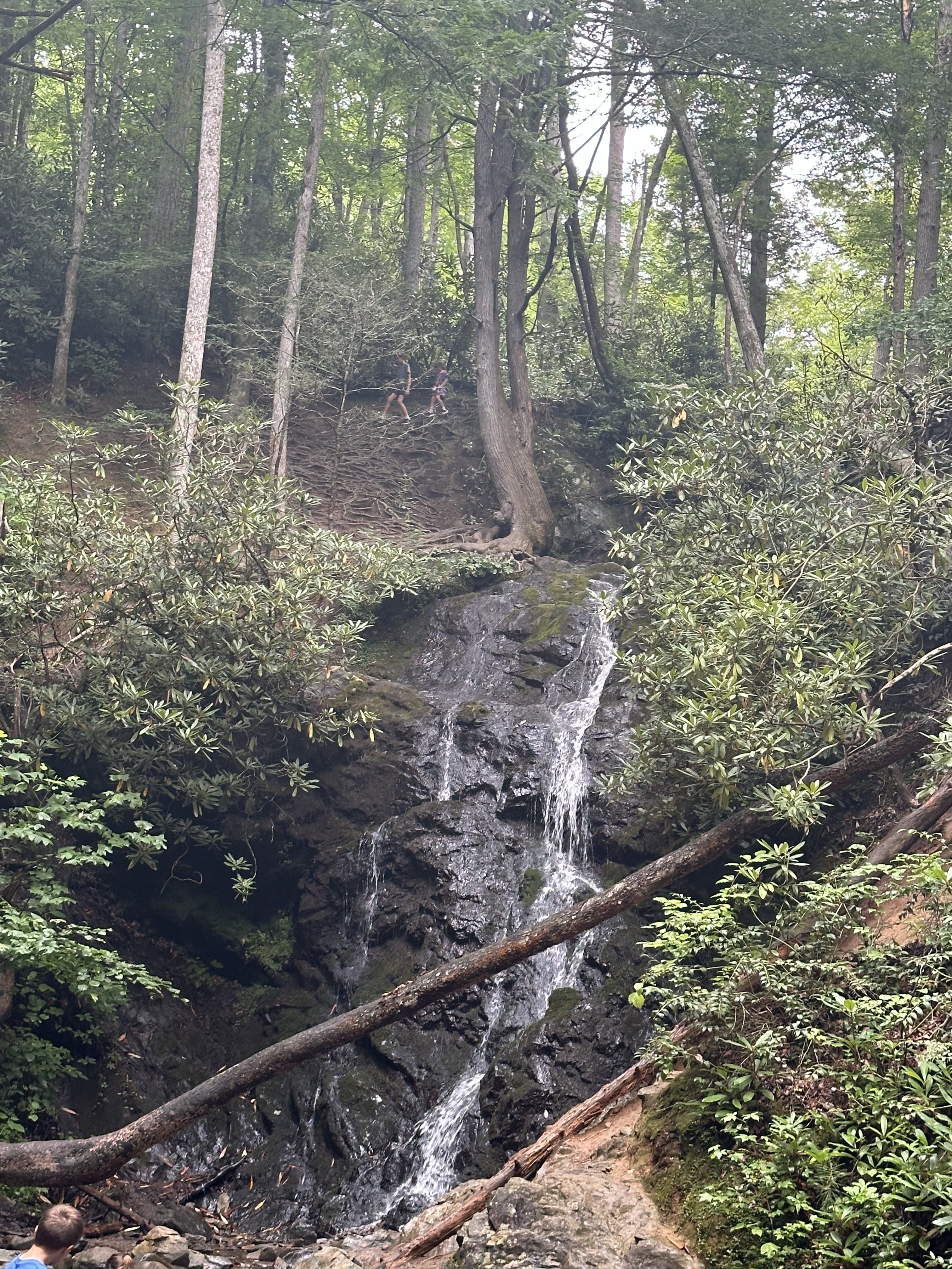 waterfall at Great Smoky Mountains National Park