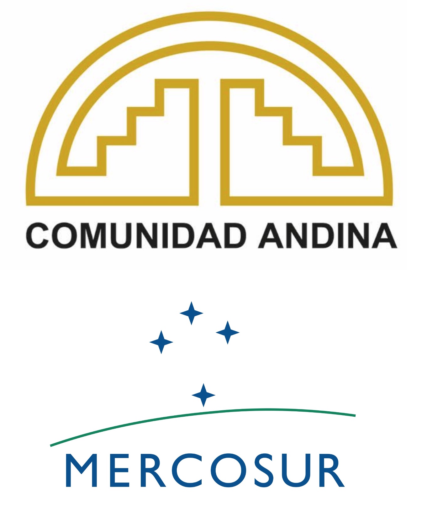 Comunidad Andina Flag and Mercosur flags