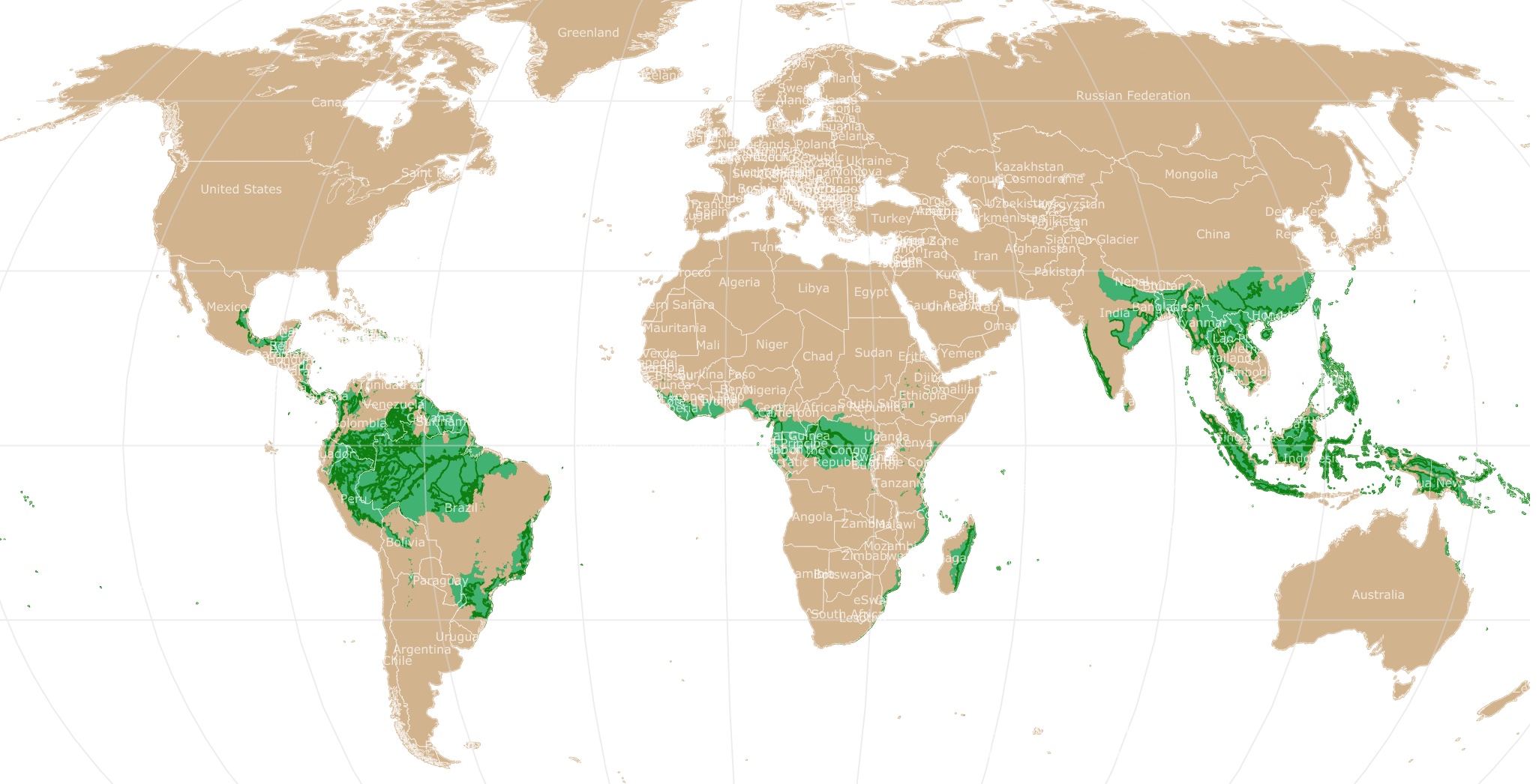 Tropical Forest ecoregions map