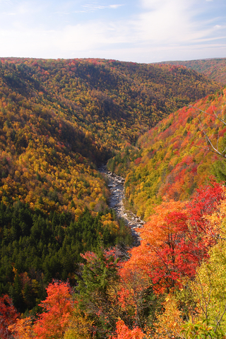 Fall in West Virginia Mountains