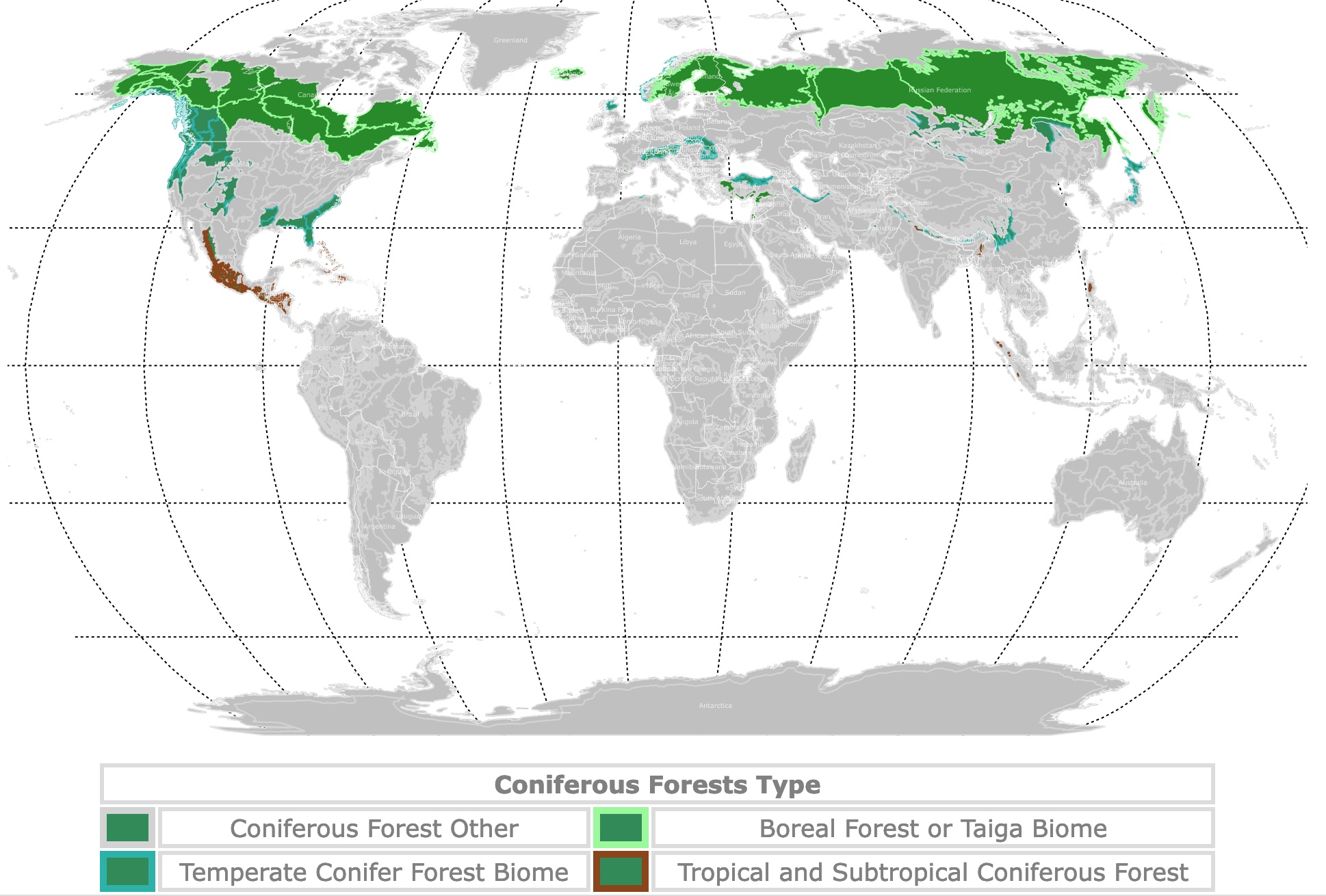 Map of coniferous forests worldwide