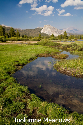 Yosemite National Park Tuolumne Meadows View