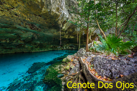 Cenote Dos Ojos near Tulum Quintana Roo